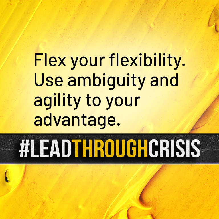 Flex your flexibility. Use ambiguity and agility to your advantage.