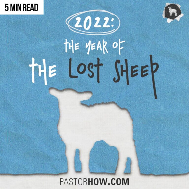 The Year of the Lost Sheep